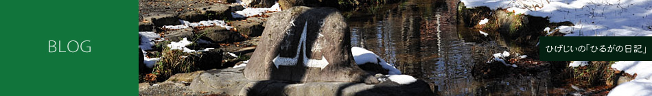 ひげじいの「ひるがの日記」記事詳細